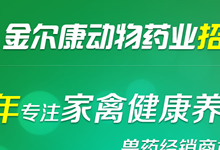 �𠖿���(d��ng)��ˎ�I(y��)